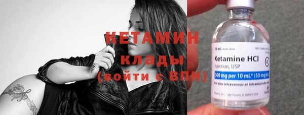 сатива Гусь-Хрустальный