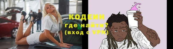 сатива Гусь-Хрустальный