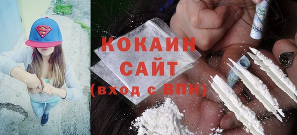 сатива Гусь-Хрустальный