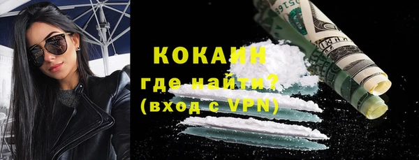 сатива Гусь-Хрустальный