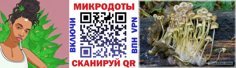 Галлюциногенные грибы мицелий  Купить где  Зарайск 